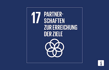 SDG 17 Grafik Partnerschaften zur Erreichung der Ziele